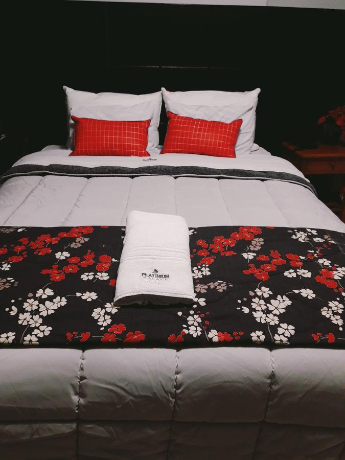 Hotel Platinum Palace クスコ エクステリア 写真